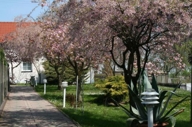 Familienhotel Zur Linde Panschwitz-Kuckau Exteriér fotografie